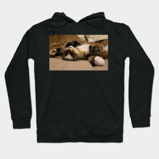 The Belly Needs Tickles I Not Resist Hoodie